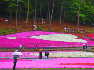 E923D130-A567-403D-99DE-95A82A4C7717.jpeg