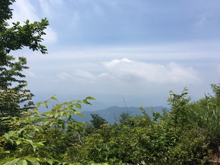 E9F53958-FF84-487F-99E4-F22B5D6721EA.jpeg