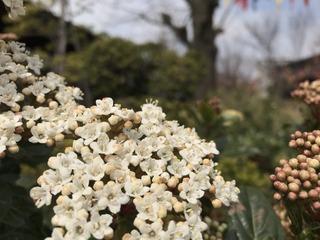 ED9E5917-4B77-4144-BA24-64EE7E4EB87E.jpeg