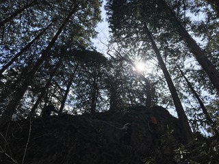 EDB880F6-147A-43D7-8E6F-8D32220CA5C0.jpeg