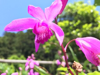 EE08DB4A-341C-4465-94E7-3F1CAEFF34BC.jpeg