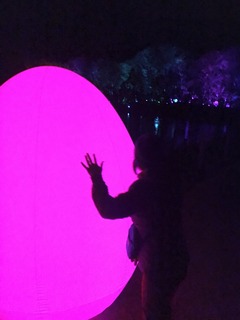 EF2B8A05-B343-4156-A2DE-212E6B1C4E79.jpeg