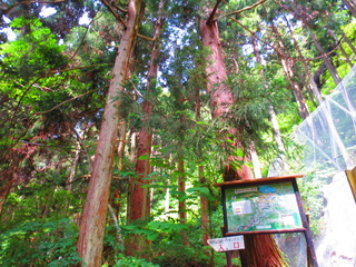 EFCFE986-E596-4D3E-BE74-8D5E0E593762.jpeg