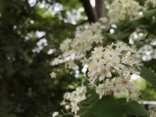 F01279A2-2515-4F9E-B468-B6E8724053F3.jpeg