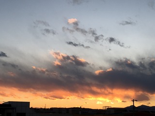 FD7508A3-FAAA-4C50-AAA7-7DE889482B09.jpeg