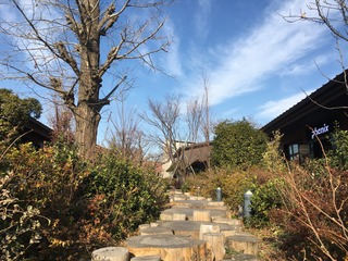 FD838840-D234-49AB-868D-2731A7CD5471.jpeg