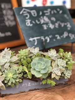 FE7E6449-9D45-49D7-950C-109DA204C9B7.jpeg