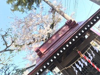 FE91D2ED-A95E-4E86-A9FC-7FC7EFDA0020.jpeg
