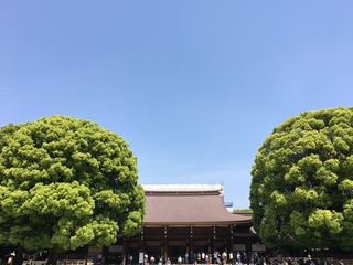 FE939CB9-9284-4B1C-86D4-6389CDD57F1A.jpeg