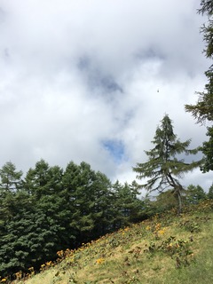 IMG_0110.JPG