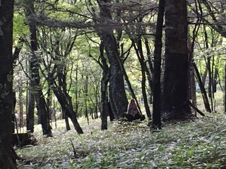 IMG_0360.JPG
