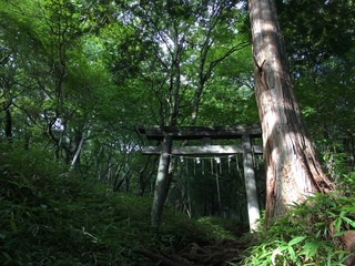 IMG_0362.JPG