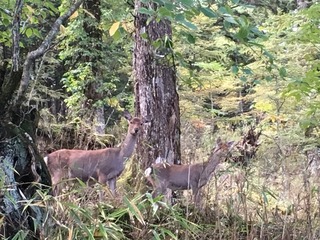 IMG_0605.JPG