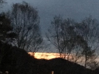 IMG_1158.JPG