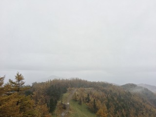 IMG_1186.JPG