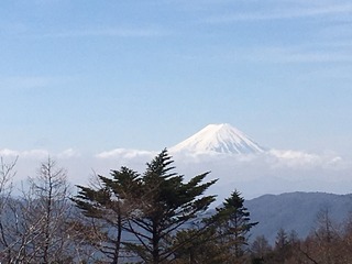IMG_6479.JPG
