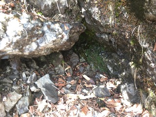 IMG_6535.JPG