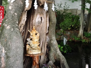 IMG_7500.JPG