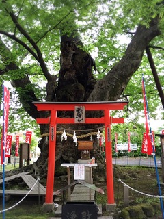 IMG_7502.JPG