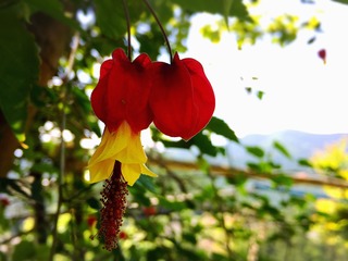 IMG_7634.JPG