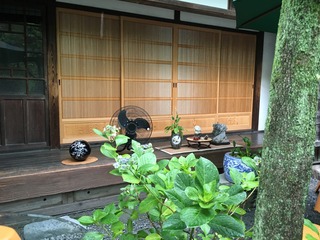 IMG_9373.JPG