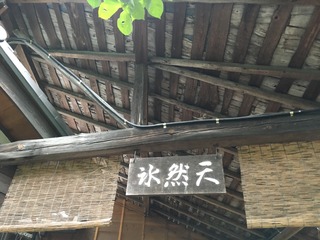 IMG_9375.JPG