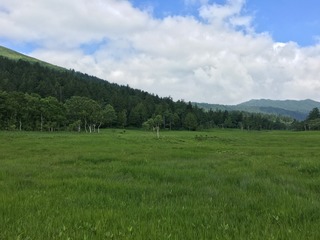 IMG_9485.JPG