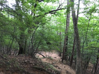 IMG_9789.JPG