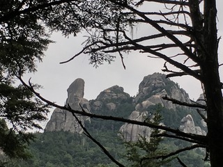IMG_9826.JPG