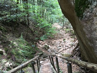 IMG_9845.JPG