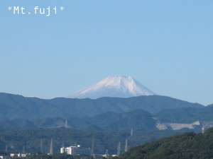 Mt.fuji.jpg