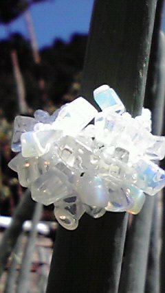 2009101111340000.jpg