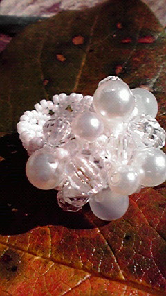 2009101111250000.jpg