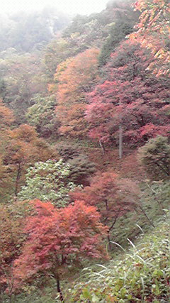 2009110813040001.jpg