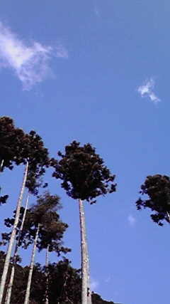 2009122814120000.jpg