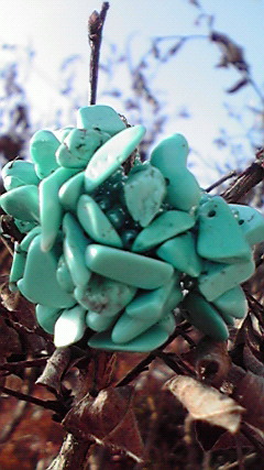 2009123013410000.jpg