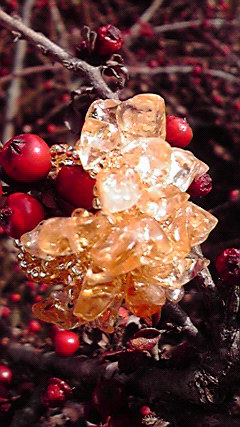 2009123013420000.jpg