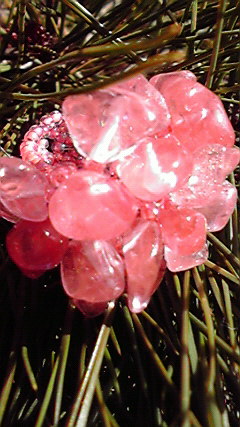 2010011012210000.jpg