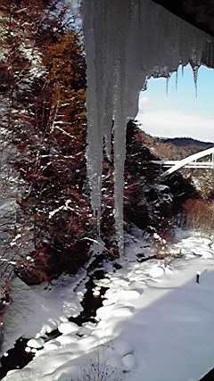 2010011815370000.jpg