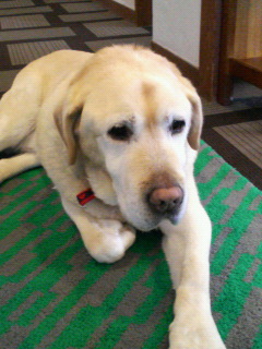 201001190858000.jpg