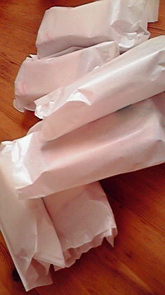 2010020312060000.jpg