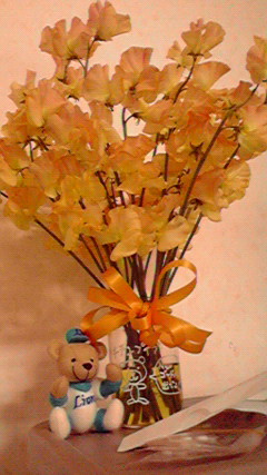 2010020918230000.jpg
