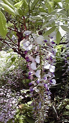 2010050512160000.jpg
