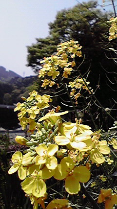 2010050512120000.jpg