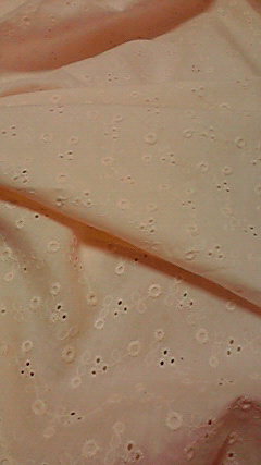 2010050819550000.jpg