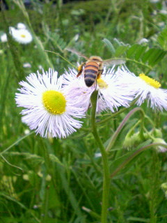 201005101150000.jpg