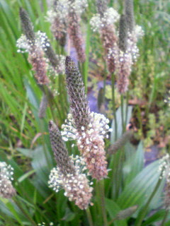 201005101204001.jpg