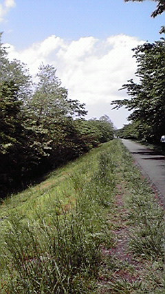 2010051212430000.jpg