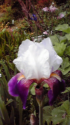 2010051417370000.jpg