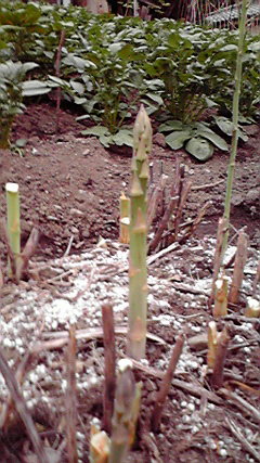 2010051417380000.jpg